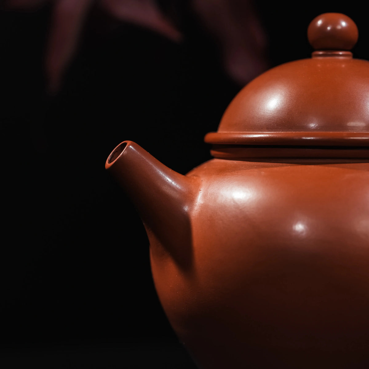 Spout and rounded body detail of Jianshui Ding teapot
